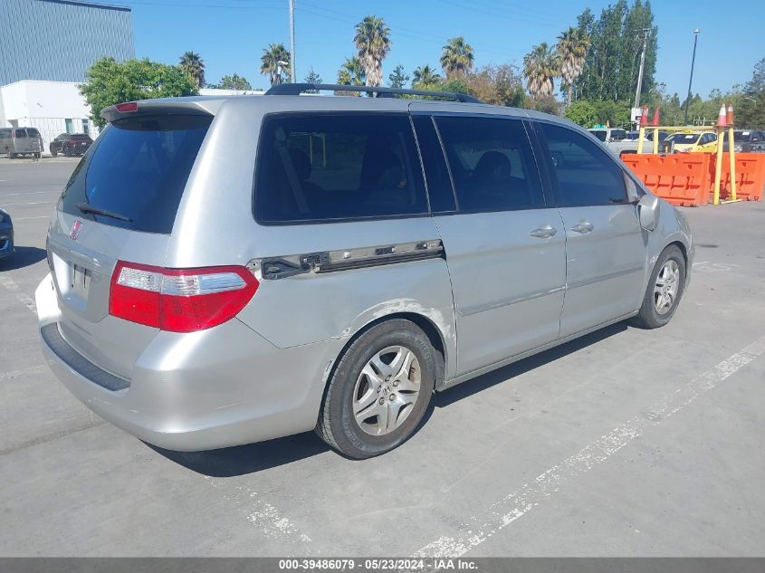 2007 Honda Odyssey Ex-L VIN: 5FNRL38637B440895 Lot: 39486079