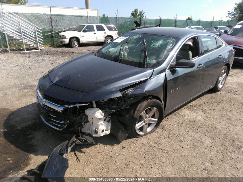 2019 Chevrolet Malibu 1Fl VIN: 1G1ZC5ST5KF216230 Lot: 39486093