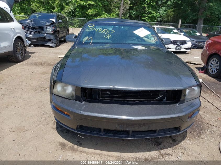 2007 Ford Mustang V6 Deluxe/V6 Premium VIN: 1ZVHT84N175234303 Lot: 39486917