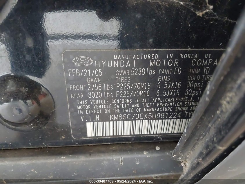 2005 Hyundai Santa Fe Gls/Lx VIN: KM8SC73EX5U981224 Lot: 39487709