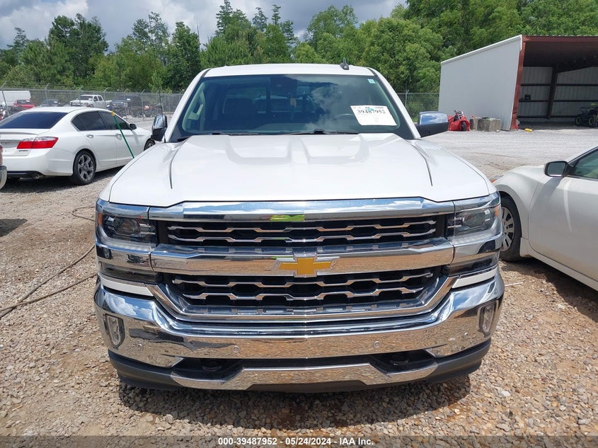 2017 Chevrolet Silverado 1500 1Lz VIN: 3GCPCSEJ1HG423745 Lot: 39487952