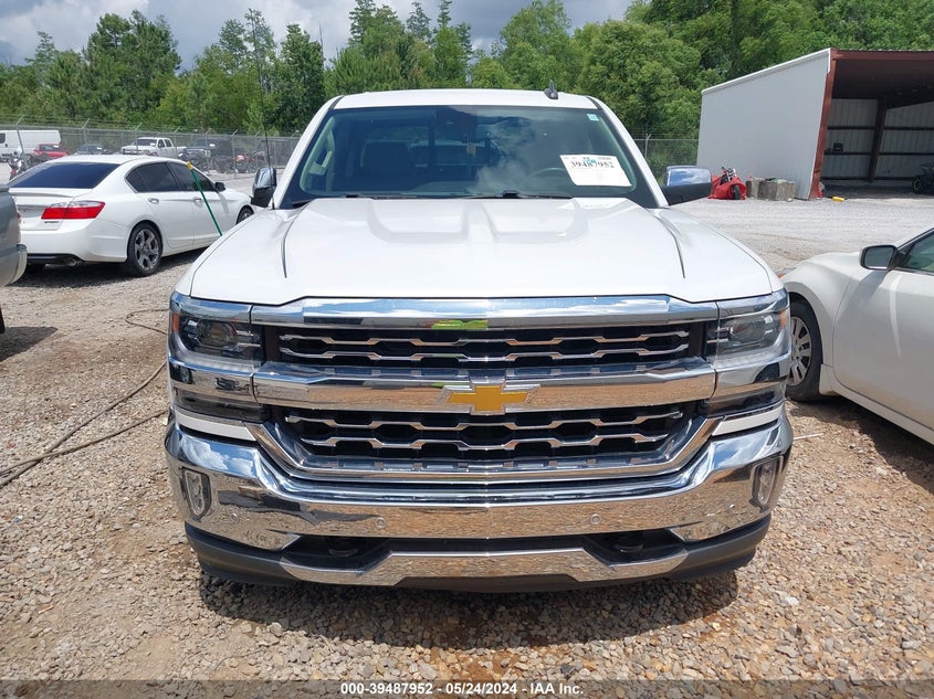 2017 Chevrolet Silverado 1500 1Lz VIN: 3GCPCSEJ1HG423745 Lot: 39487952