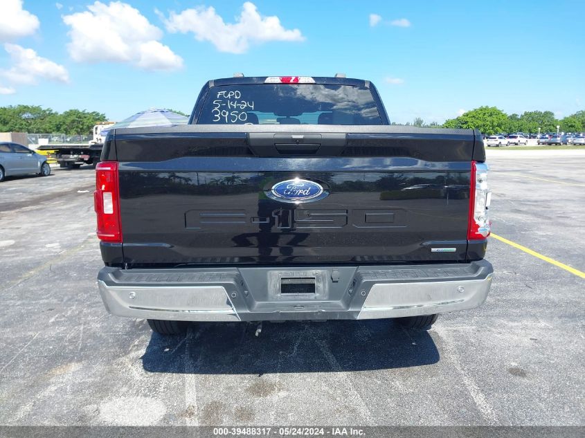 1FTEW1C81PKD33950 | 2023 FORD F-150