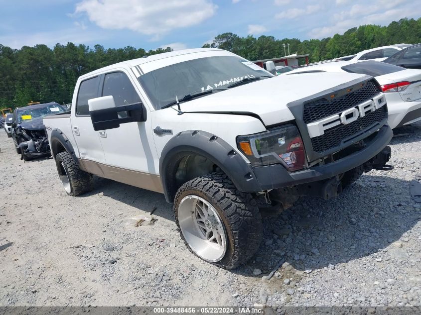 2013 Ford F-150 King Ranch VIN: 1FTFW1EF4DKE26229 Lot: 39488456