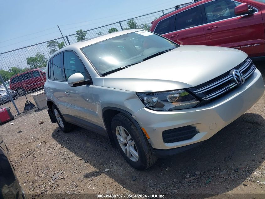 2013 Volkswagen Tiguan S VIN: WVGAV3AX5DW567841 Lot: 39488707