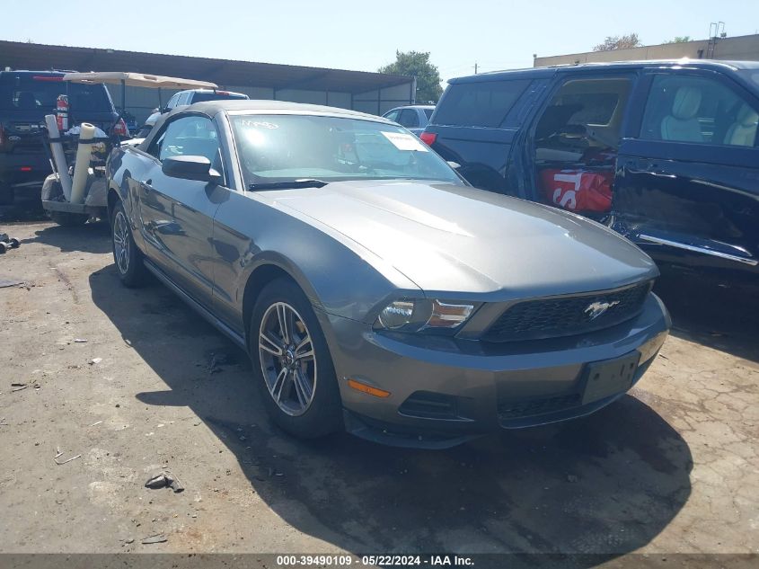 2010 Ford Mustang V6/V6 Premium VIN: 1ZVBP8EN3A5124627 Lot: 39490109