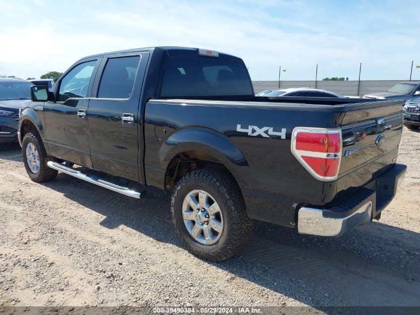 2013 FORD F-150 XLT - 1FTFW1EF2DFB80340