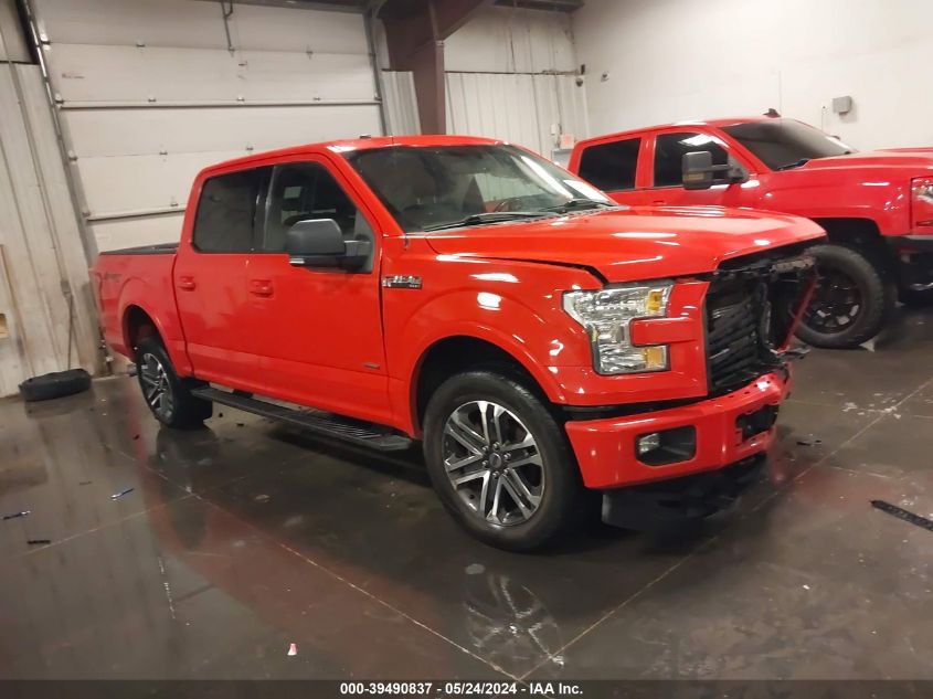 2017 FORD F-150 XLT - 1FTEW1EG5HKD81683