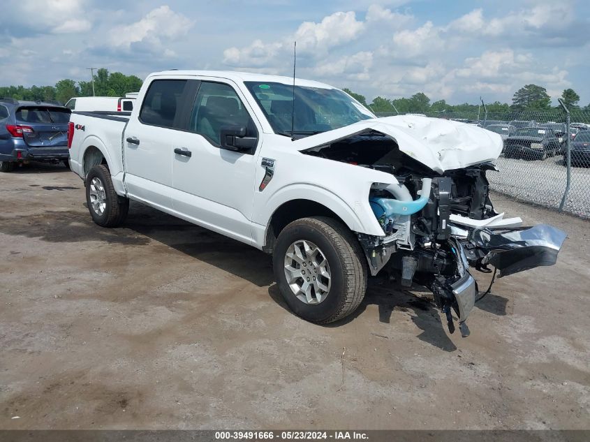 2023 FORD F-150 XLT - 1FTFW1E54PFC05346