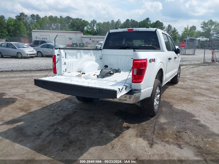 2023 FORD F-150 XLT - 1FTFW1E54PFC05346