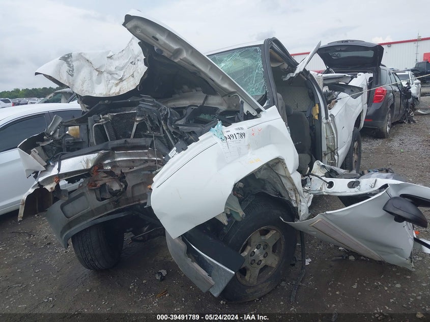 2005 Chevrolet Silverado 1500 Ls VIN: 1GCEC19T85Z120325 Lot: 39491789