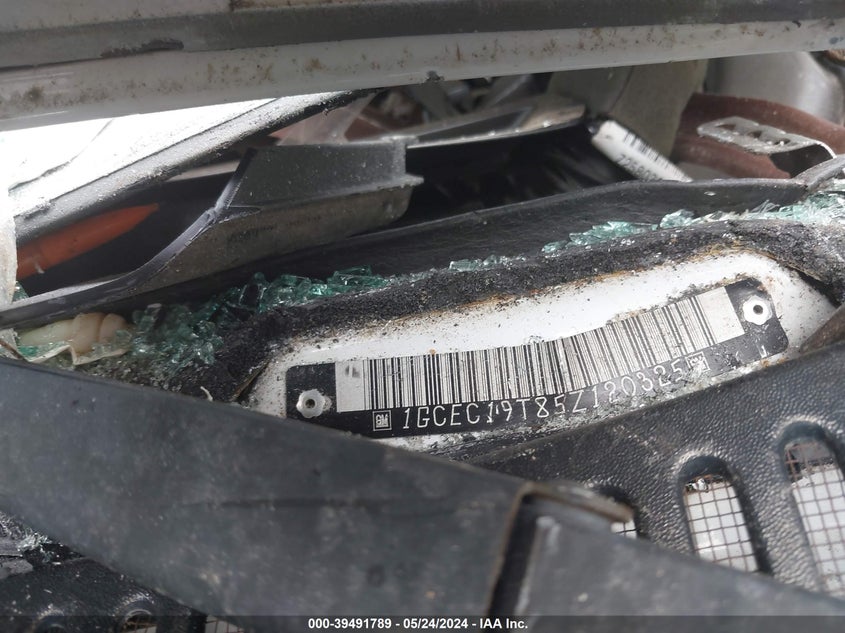 2005 Chevrolet Silverado 1500 Ls VIN: 1GCEC19T85Z120325 Lot: 39491789