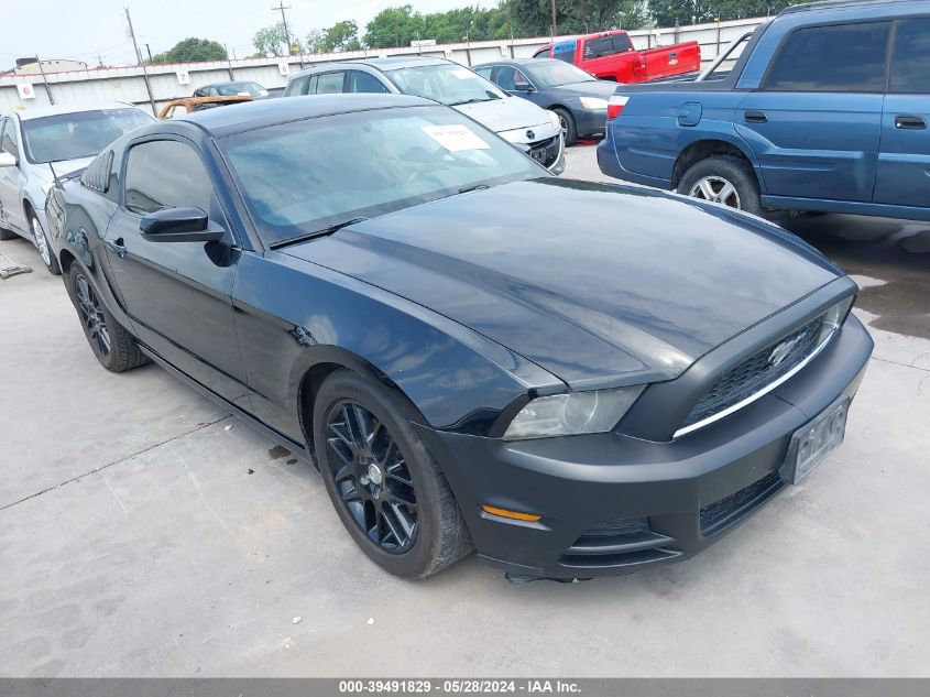 2014 FORD MUSTANG - 1ZVBP8AM5E5320572