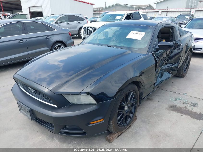 2014 FORD MUSTANG - 1ZVBP8AM5E5320572