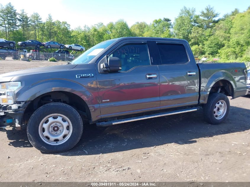 2016 Ford F-150 Xlt VIN: 1FTEW1EG5GKF74513 Lot: 39491911
