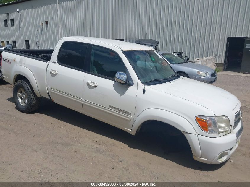 2005 Toyota Tundra Sr5 V8 VIN: 5TBDT44175S489013 Lot: 39492033