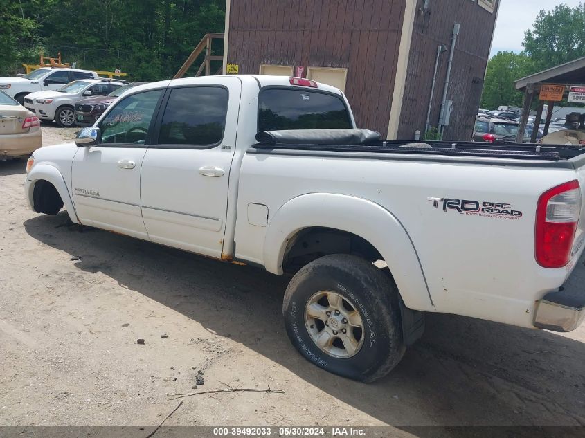 2005 Toyota Tundra Sr5 V8 VIN: 5TBDT44175S489013 Lot: 39492033