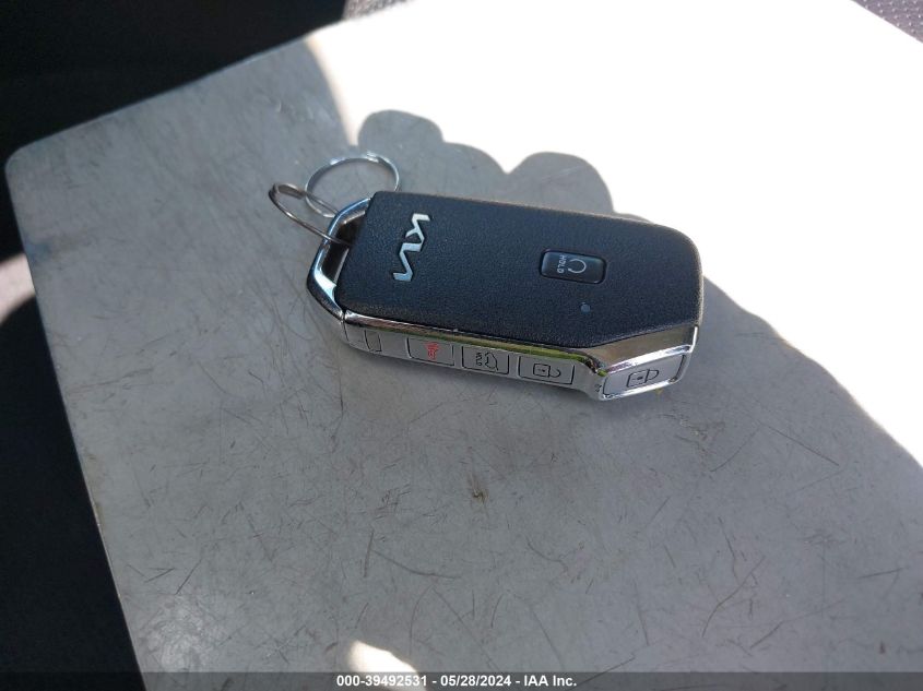 2022 Kia Telluride Ex VIN: 5XYP3DHCXNG209906 Lot: 39492531