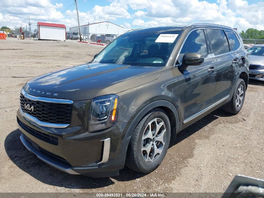 2022 Kia Telluride Ex VIN: 5XYP3DHCXNG209906 Lot: 39492531