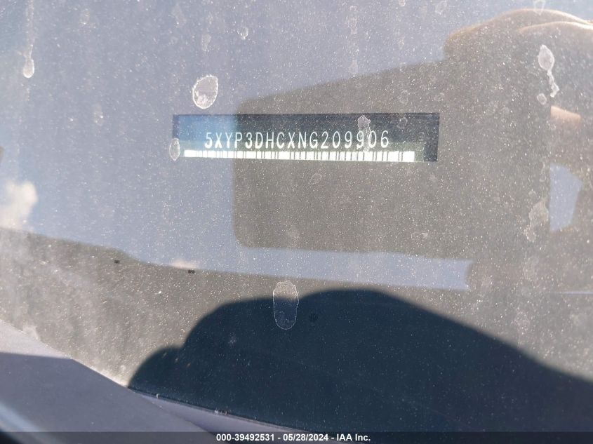 2022 Kia Telluride Ex VIN: 5XYP3DHCXNG209906 Lot: 39492531