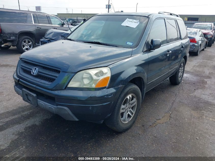 2005 Honda Pilot Exl VIN: 5FNYF18675B000943 Lot: 39493389