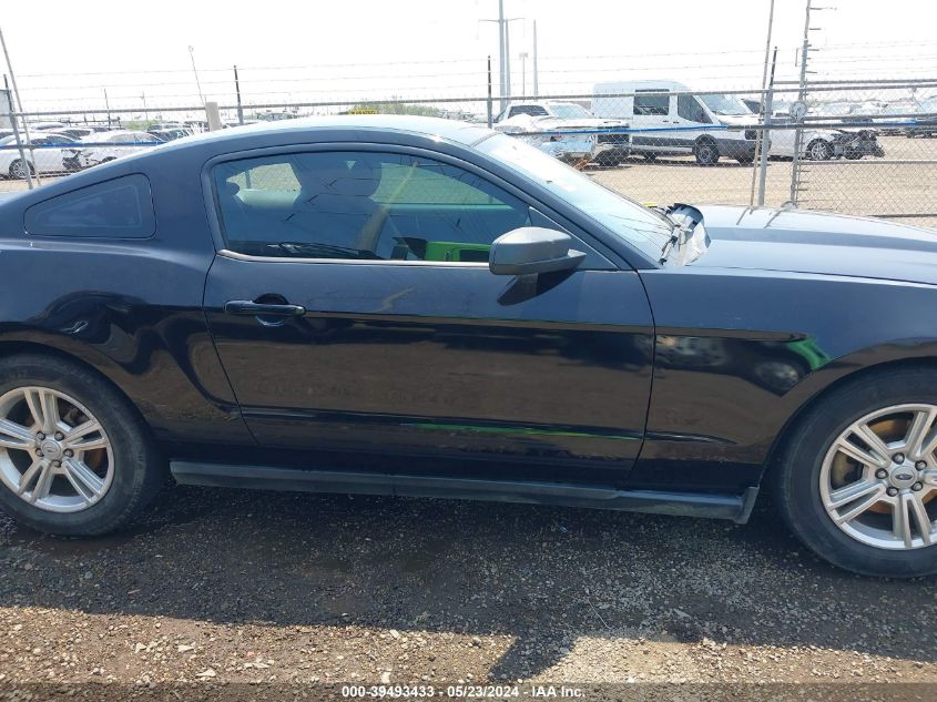 2011 Ford Mustang V6 VIN: 1ZVBP8AM0B5146356 Lot: 39493433