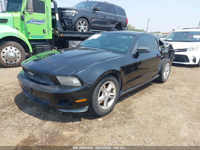 2011 Ford Mustang V6 VIN: 1ZVBP8AM0B5146356 Lot: 39493433