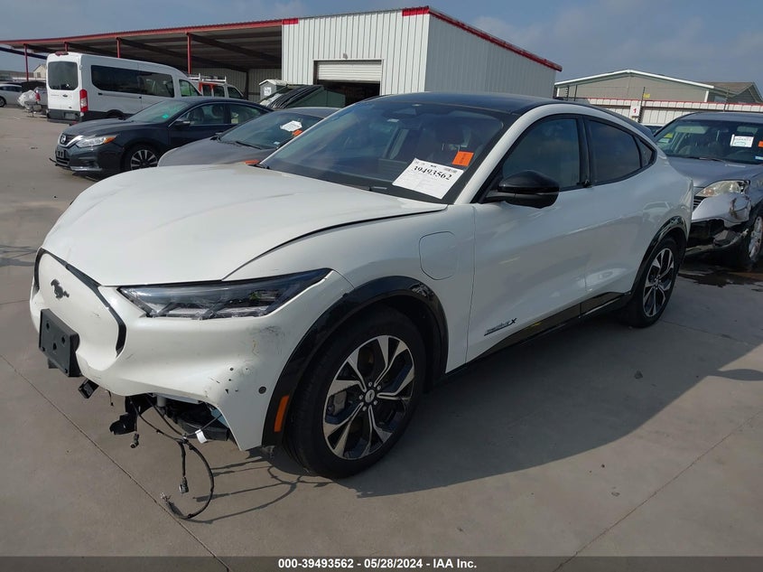 2021 Ford Mustang Mach-E Premium VIN: 3FMTK3R77MMA66309 Lot: 39493562