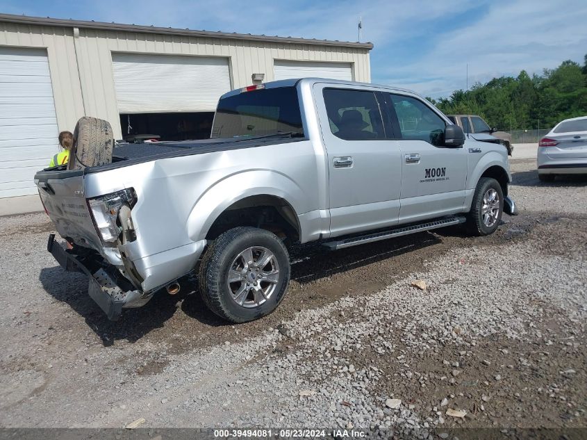 2015 FORD F-150 XLT - 1FTEW1CF2FKD39494