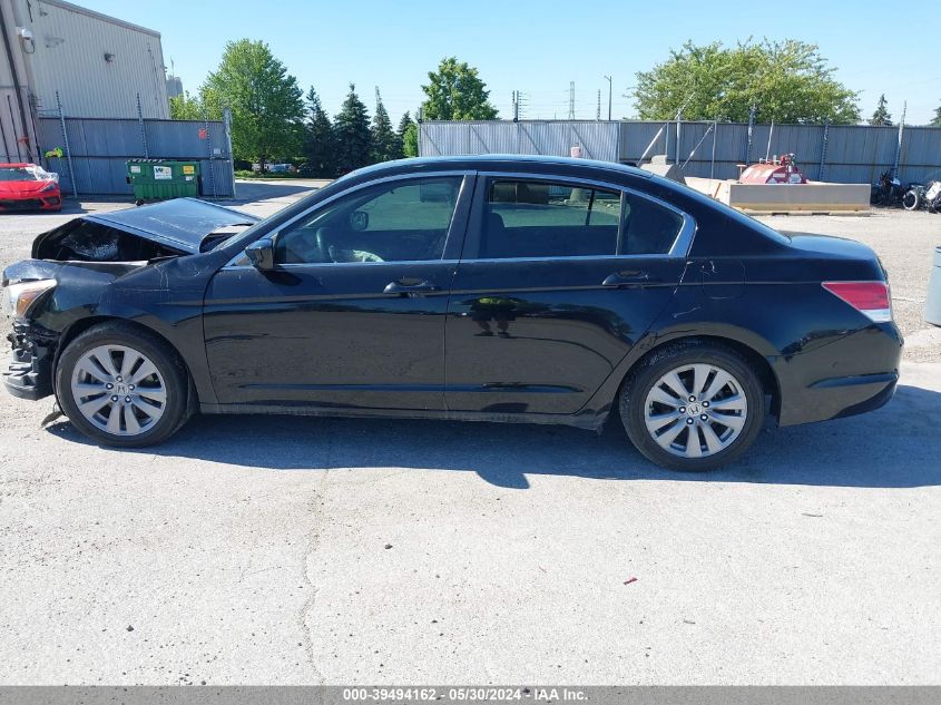 2011 Honda Accord 2.4 Ex-L VIN: 1HGCP2F80BA102205 Lot: 39494162