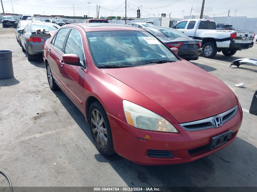 2007 Honda Accord 3.0 Ex VIN: 1HGCM66537A048590 Lot: 39494784