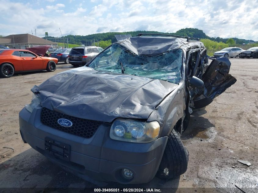 2005 Ford Escape Xlt VIN: 1FMYU93135KD12711 Lot: 39495051