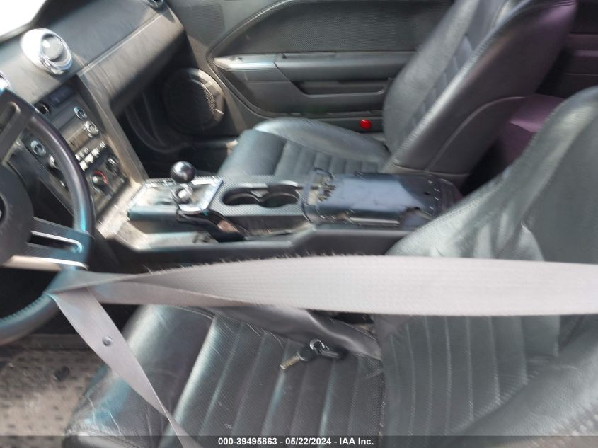 2009 Ford Mustang Gt/Gt Premium VIN: 1ZVHT82H295145095 Lot: 39495863