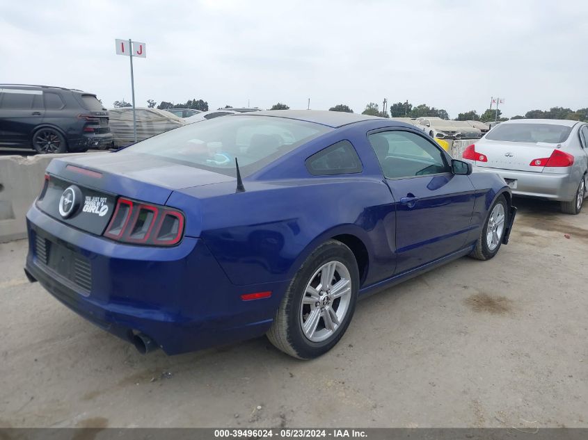 1ZVBP8AM4E5325228 2014 Ford Mustang V6