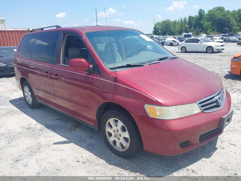 2004 Honda Odyssey Ex-L VIN: 5FNRL18914B075384 Lot: 39496560