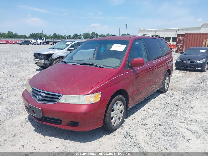 2004 Honda Odyssey Ex-L VIN: 5FNRL18914B075384 Lot: 39496560