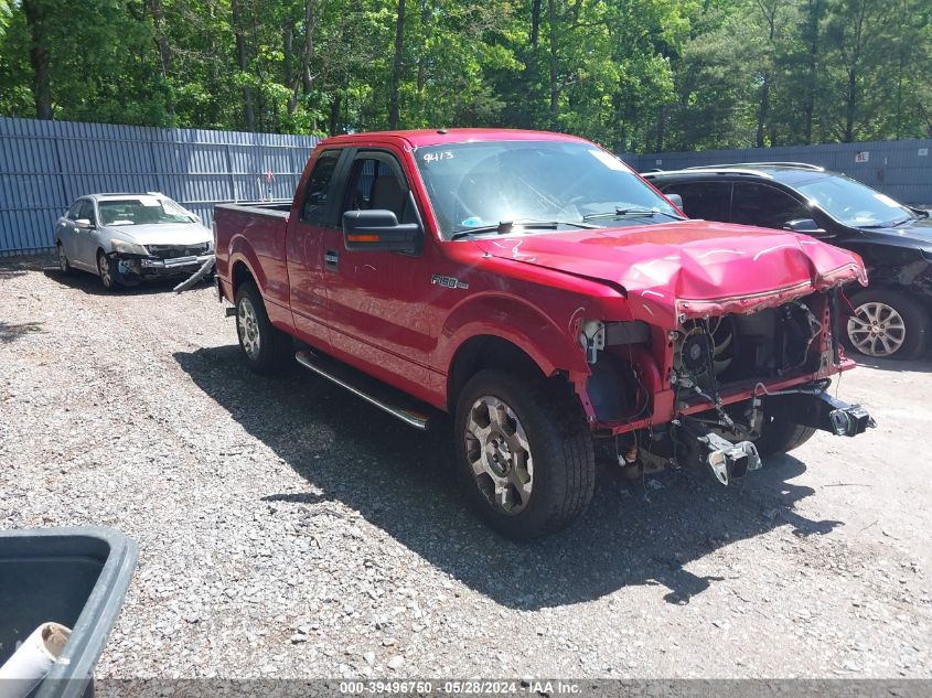 2009 Ford F-150 Xlt VIN: 1FTRX12V19FA38252 Lot: 39496750