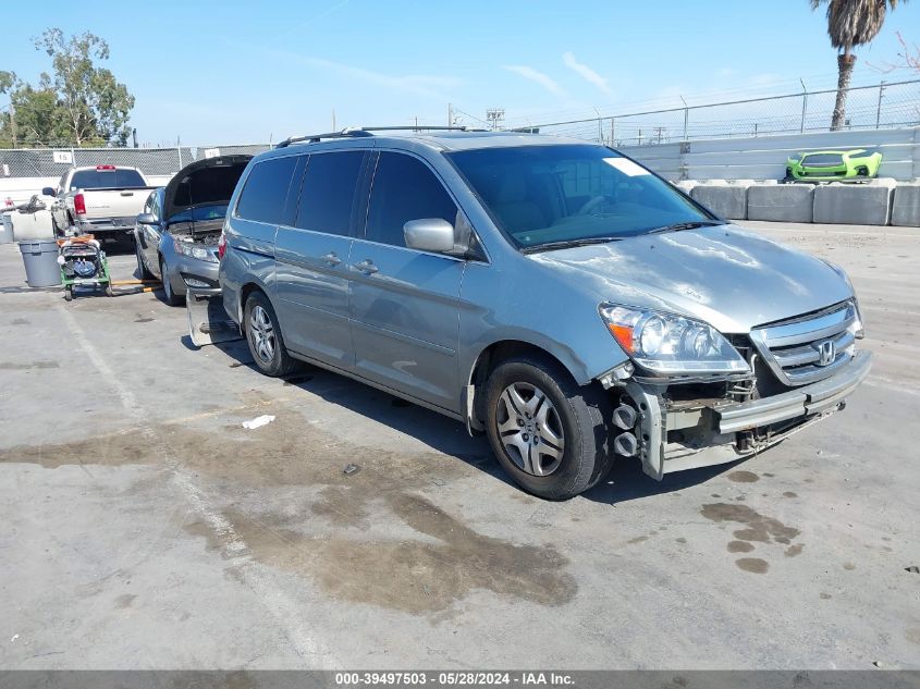 2007 Honda Odyssey Ex-L VIN: 5FNRL38647B005724 Lot: 39497503