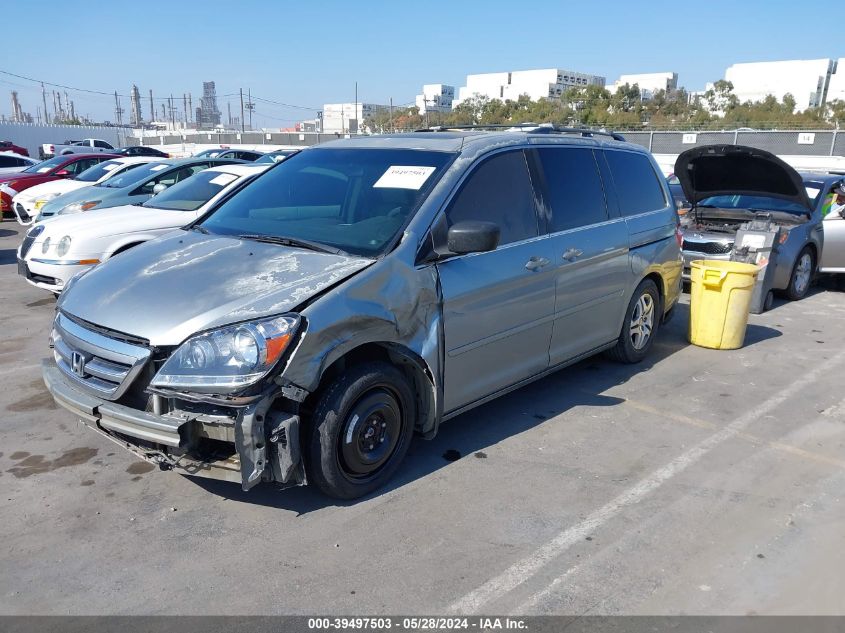 2007 Honda Odyssey Ex-L VIN: 5FNRL38647B005724 Lot: 39497503