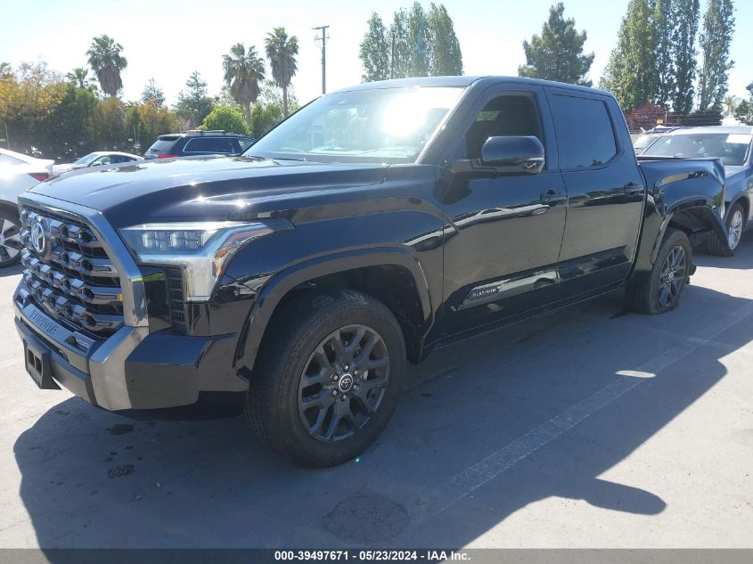 2023 Toyota Tundra Platinum VIN: 5TFNA5DB5PX074981 Lot: 39497671