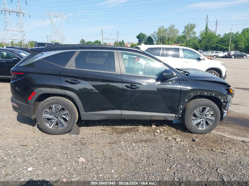 2022 Hyundai Tucson Hybrid Blue VIN: KM8JBCA10NU025161 Lot: 39497940