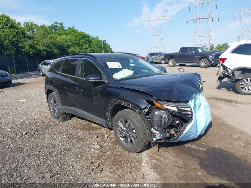 2022 Hyundai Tucson Hybrid Blue VIN: KM8JBCA10NU025161 Lot: 39497940