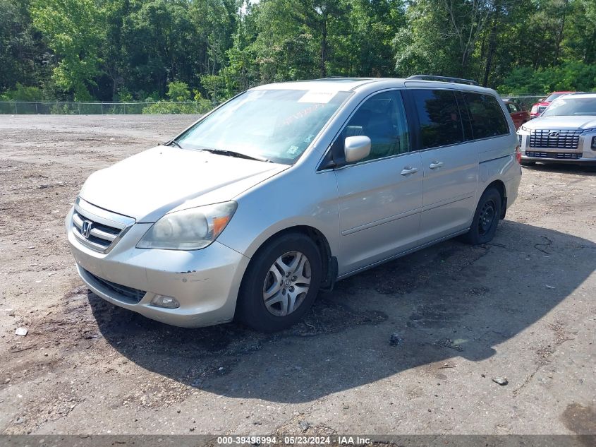 2006 Honda Odyssey Touring VIN: 5FNRL38896B101588 Lot: 39933978