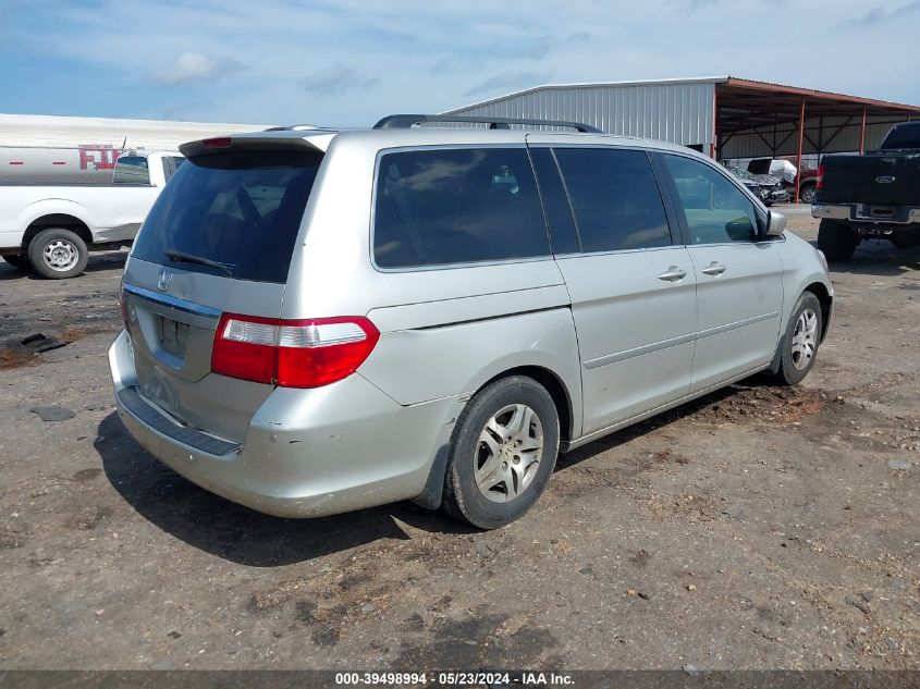 2006 Honda Odyssey Touring VIN: 5FNRL38896B101588 Lot: 39933978