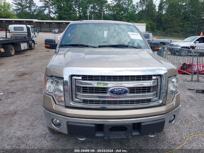 2013 Ford F-150 Xlt VIN: 1FTFW1EF1DFD47335 Lot: 39499195