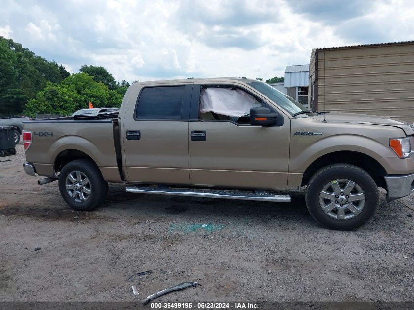 2013 FORD F-150 XLT - 1FTFW1EF1DFD47335