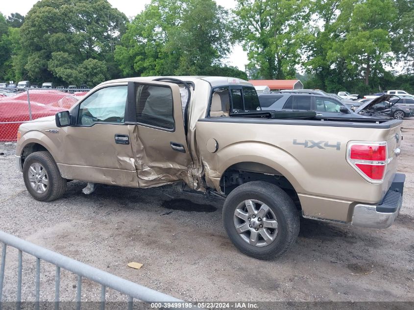 2013 FORD F-150 XLT - 1FTFW1EF1DFD47335