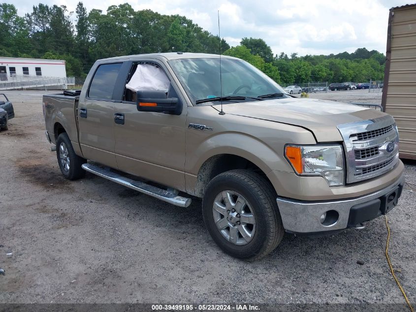 2013 Ford F-150 Xlt VIN: 1FTFW1EF1DFD47335 Lot: 39499195