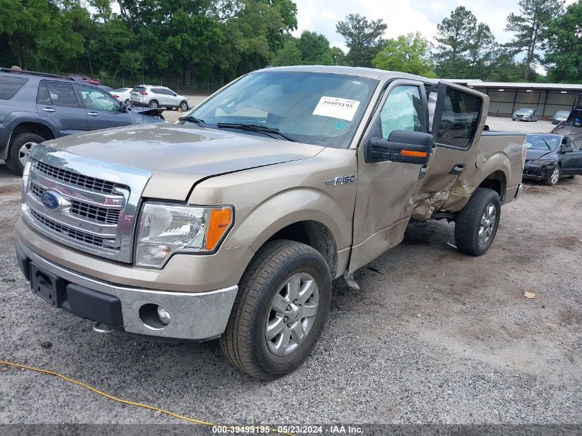 2013 FORD F-150 XLT - 1FTFW1EF1DFD47335