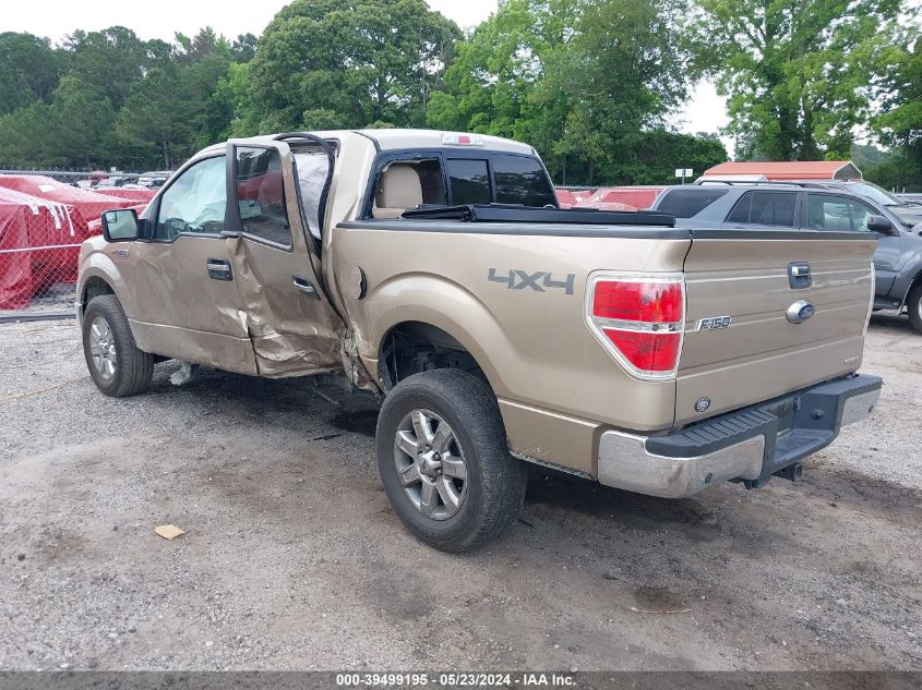 2013 FORD F-150 XLT - 1FTFW1EF1DFD47335